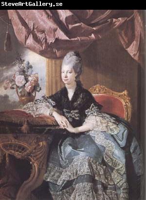 Johann Zoffany Queen Charlotte (mk25)